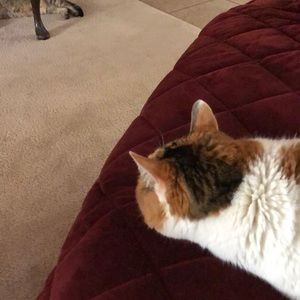 Meet your Posher, Joanne